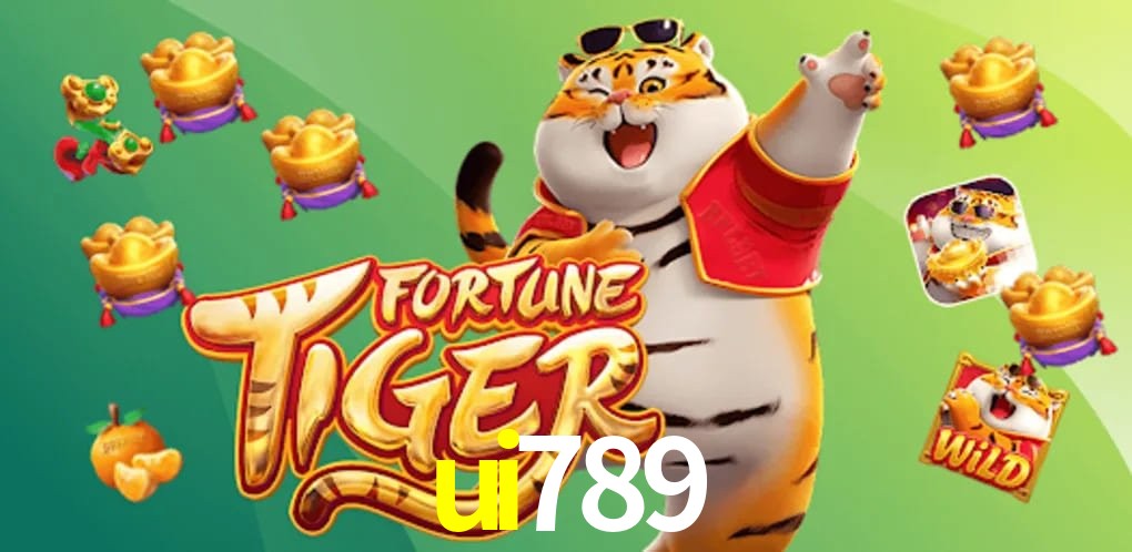 Experiência VIP ui789